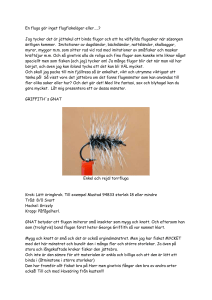 En fluga gör inget flugfiskeläger eller…