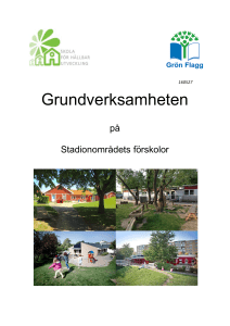 Grundverksamheten