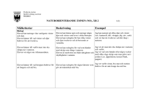 Målkriterier Beskrivning Exempel