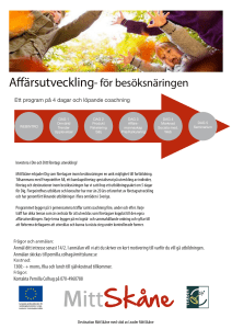 Affärsutveckling- för besöksnäringen