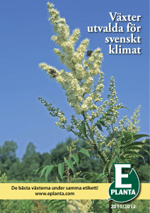 Växter utvalda för svenskt klimat - E