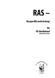 Rasspecifik avelsstrategi för Vit Herdehund