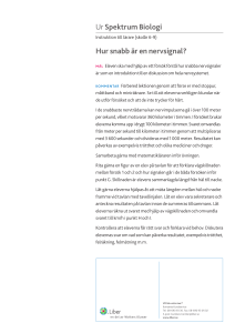Ur Spektrum Biologi Hur snabb är en nervsignal?