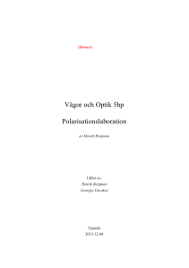 Vågor och Optik 5hp Polarisationslaboration