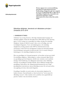 Mänskliga rättigheter, demokrati och rättsstatens