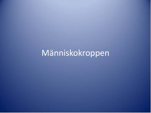 Naturkunskap A