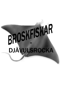 broskfiskar - djävulsrocka