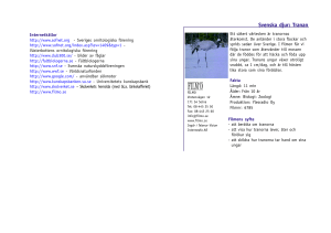 6785 Svenska djur Tranor