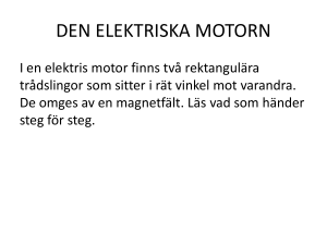 den elektriska motorn