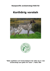 Korthårig vorsteh - Svenska vorstehklubben