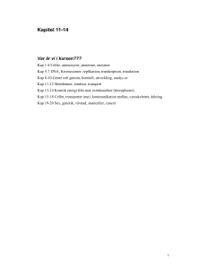 Kapitel 11-14