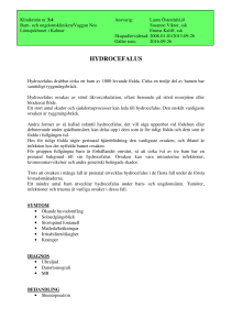 HYDROCEFALUS