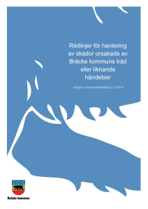 Riktlinjer för hantering av skador orsakade av