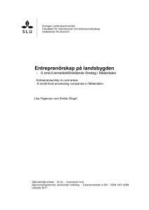 Entreprenörskap på landsbygden