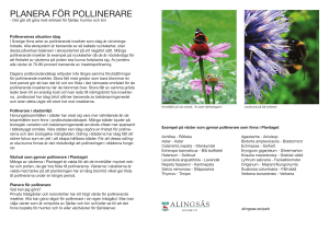 PLANERA FÖR POLLINERARE