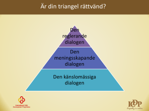 Processen vid vägledning