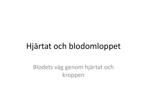 Hjärtat och blodomloppet bara