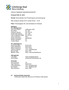 Protokoll FSG 19-2014