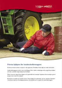 trygg i arbetet