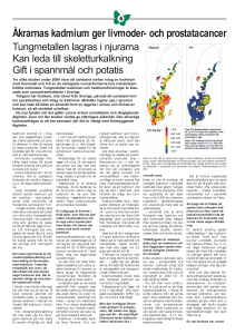 Åkrarnas kadmium ger livmoder- och prostatacancer