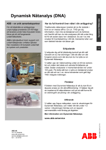 Dynamisk Nätanalys (DNA)