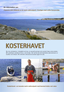 En information om