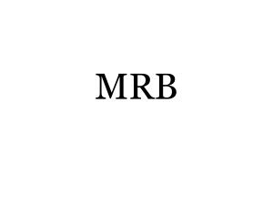 MRB-teamet