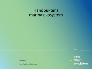 Hanöbuktens marina ekosystem