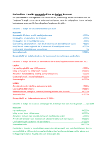 Nedan finns tre olika exempel på hur en budget kan se ut.