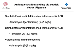 Aminoglykosidbehandling vid septisk chock i Uppsala