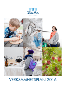 Verksamhetsplan 2016