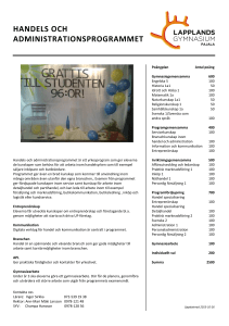 Programblad