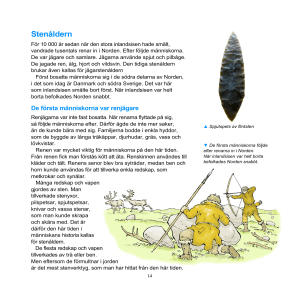 Stenåldern - LogistikTeamet