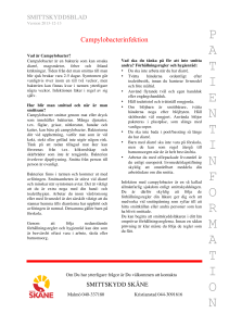 Campylobacter pat org