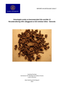 Osteologisk analys av benmaterialet från område 12