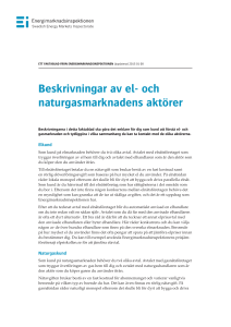 Beskrivningar av el- och naturgasmarknadens aktörer