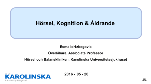 Esma Idrizbegovics presentation på