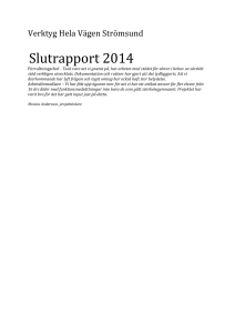 Delmål för projektet och hur långt har vi nått