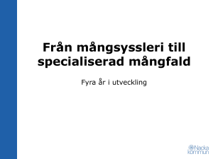 Strategier/handlingsplaner – Ledarskap (fortsättning)