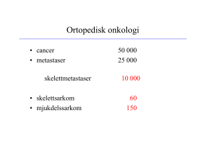Ingen bildrubrik - Fysioterapeuterna