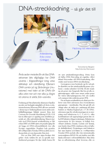 DNA-streckkodning sâ gâr det till