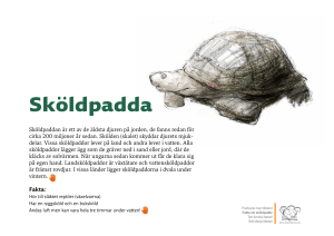 Sköldpadda