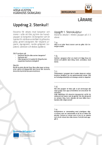 LÄRARE Uppdrag 2. Stenkul!