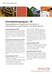 Introduktionsprogram, IM
