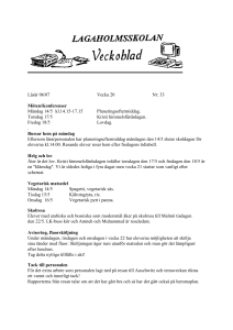 blankett veckoblad