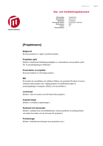 Projektdirektiv