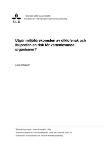 Utgör miljöförekomsten av diklofenak och ibuprofen en risk för