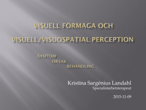 Nedsatt syn och visuell perception: Bedömning och