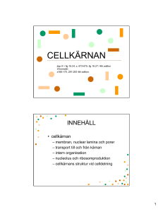 CELLKÄRNAN