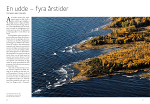 En udde – fyra årstider